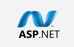 ASP.Net Developer