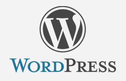 Wordpress Developer